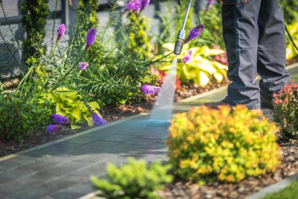 Best Sidewalk and Walkway Cleaning  in Danvle, IL
