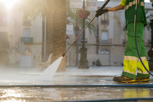 Best House Exterior Washing  in Danvle, IL